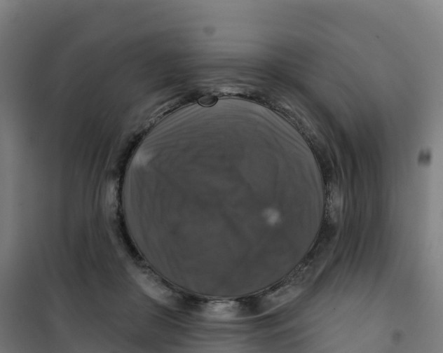 X0000100370410200807031906