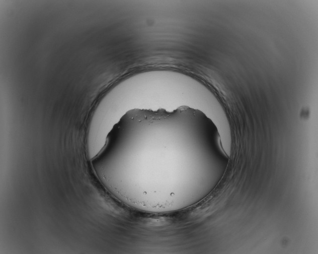 X0000100370411200807031906