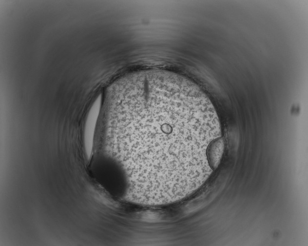 X0000100370412200807031906