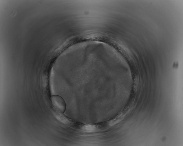 X0000100370413200807031906