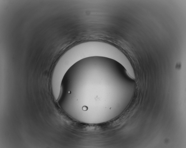 X0000100370415200807031906