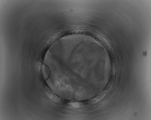 X0000100370417200807031906