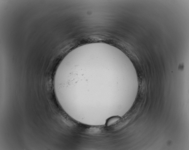 X0000100370418200807031906