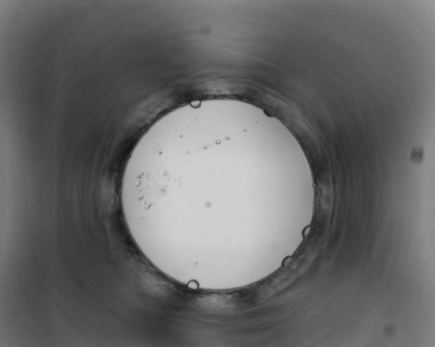 X0000100370422200807031906