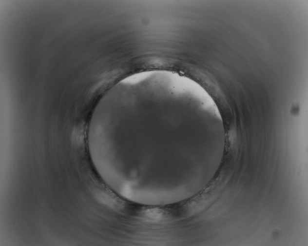 X0000100370423200807031906