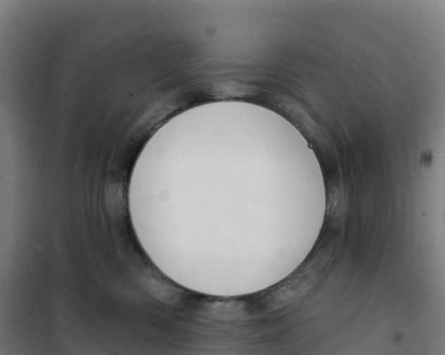 X0000100370426200807031906