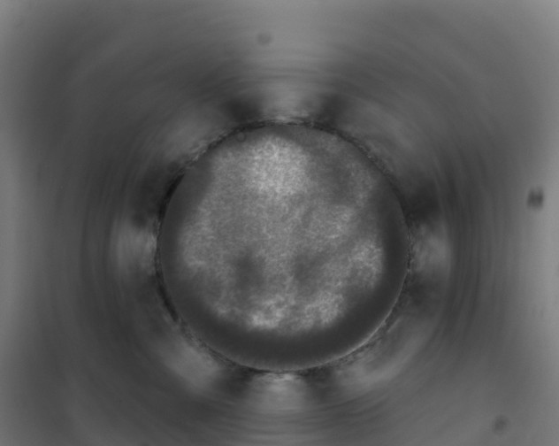 X0000100370427200807031906