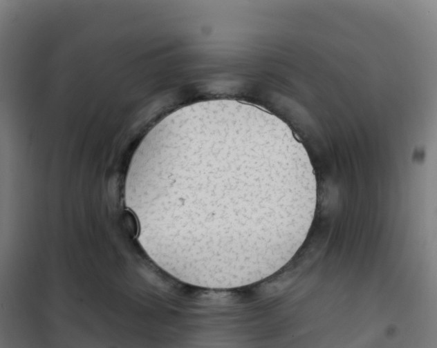 X0000100370428200807031906