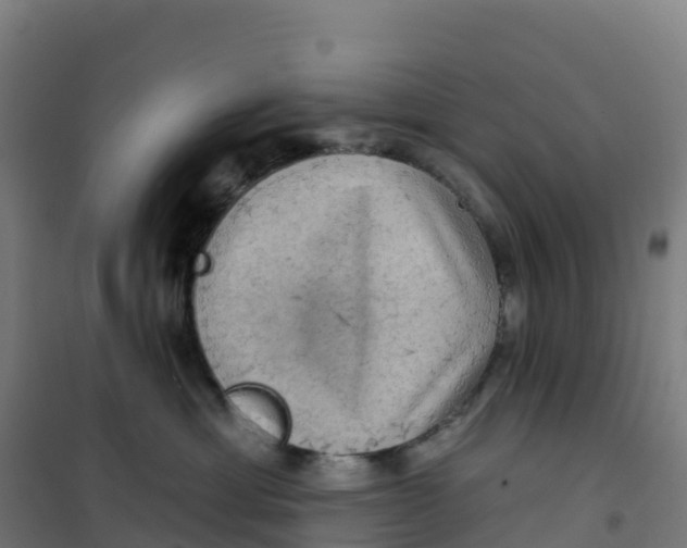 X0000100370429200807031906