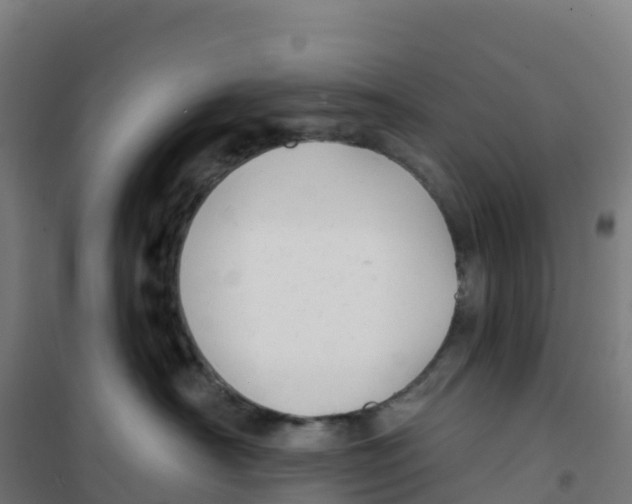 X0000100370430200807031906