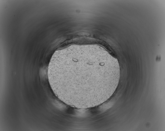 X0000100370432200807031906