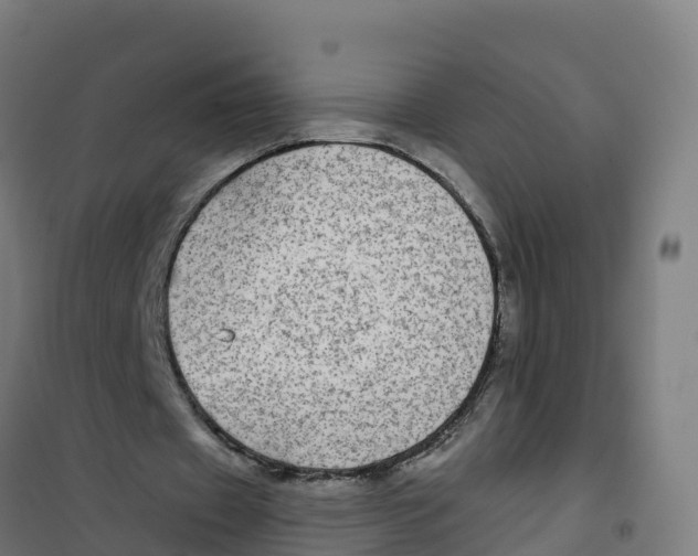 X0000100370433200807031905