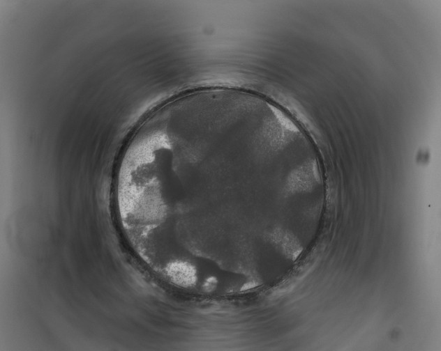 X0000100370434200807031905