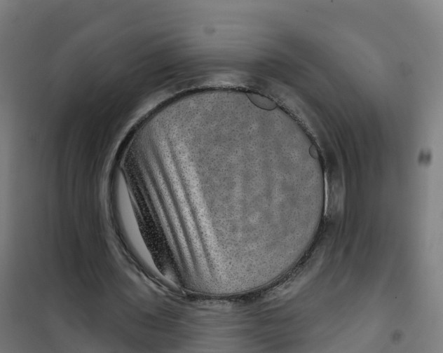 X0000100370435200807031905