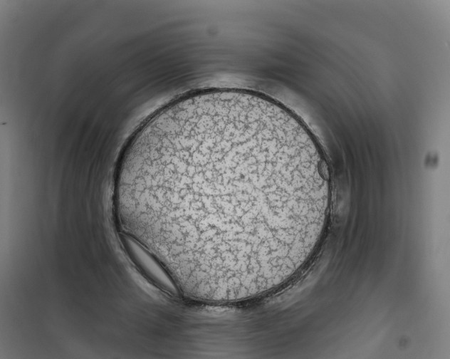 X0000100370437200807031906