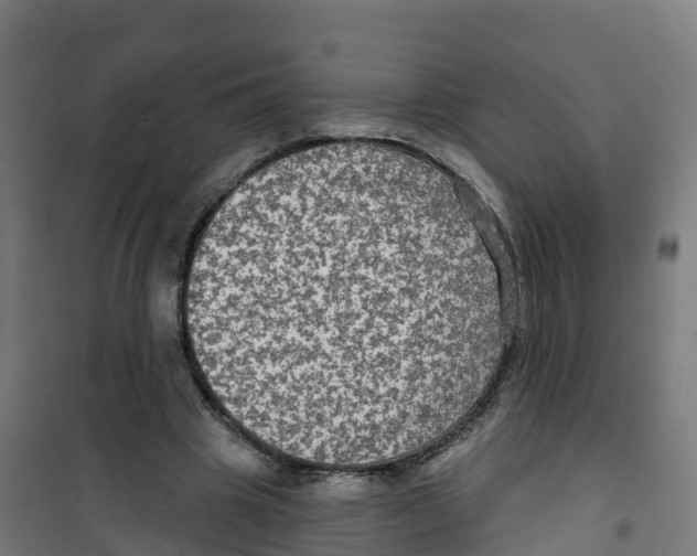 X0000100370441200807031906