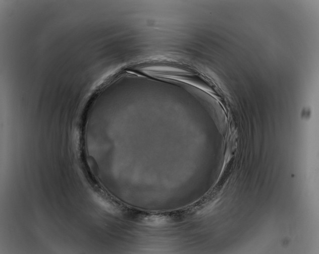 X0000100370444200807031906