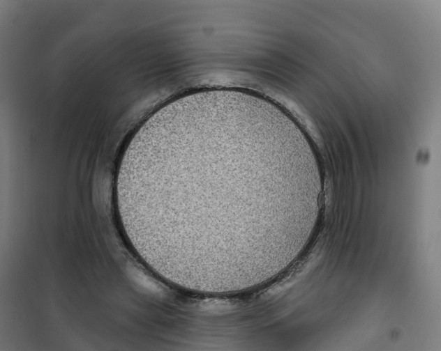 X0000100370445200807031906