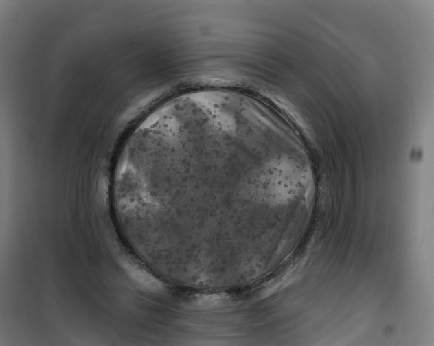 X0000100370446200807031906