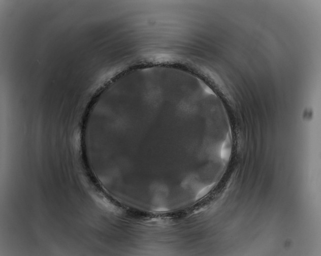 X0000100370447200807031906