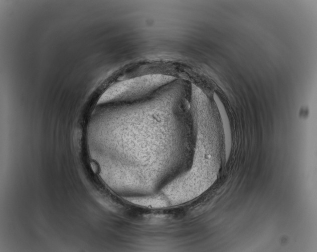 X0000100370448200807031906