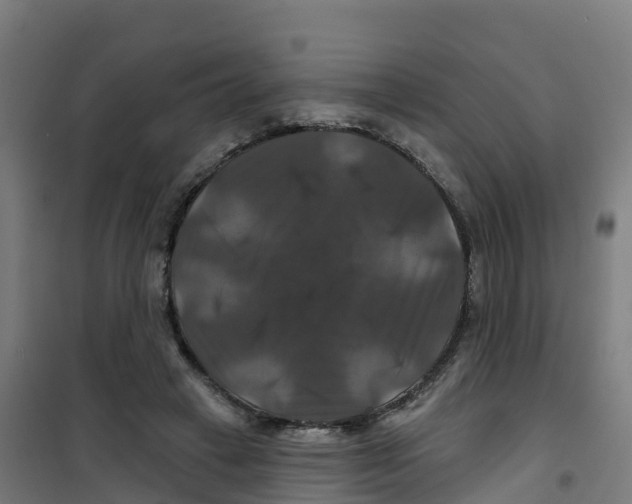 X0000100370449200807031906