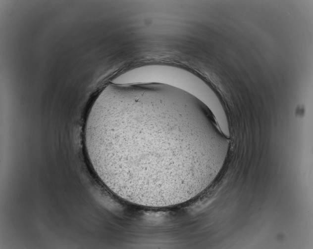 X0000100370450200807031906