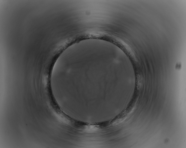 X0000100370451200807031906