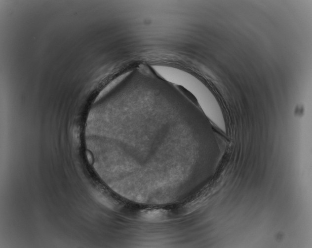 X0000100370452200807031906