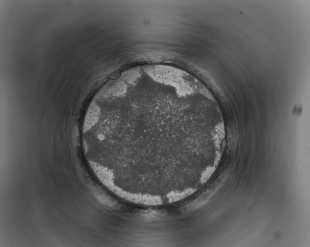 X0000100370453200807031906