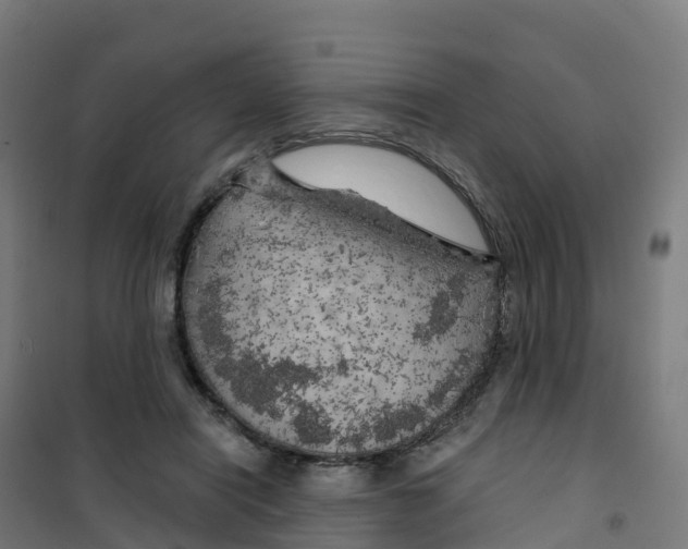 X0000100370454200807031906