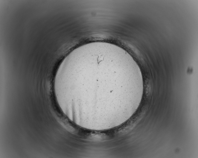 X0000100370455200807031906