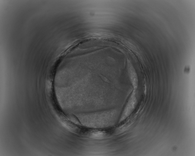 X0000100370456200807031906