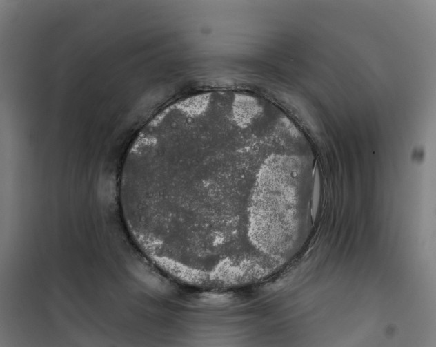 X0000100370457200807031906