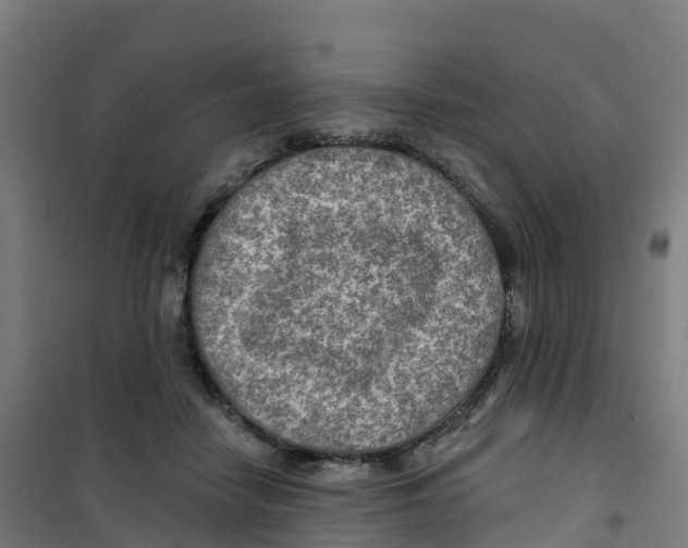 X0000100370458200807031906