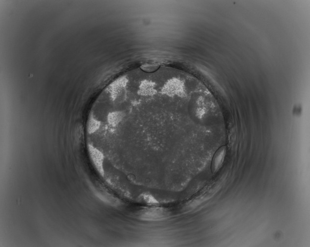 X0000100370459200807031906