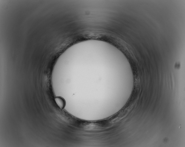 X0000100370460200807031906