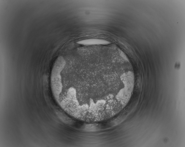 X0000100370461200807031906