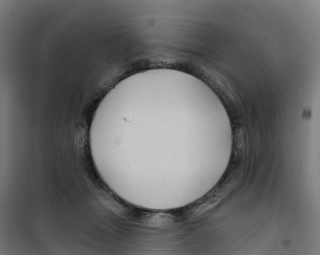 X0000100370463200807031906