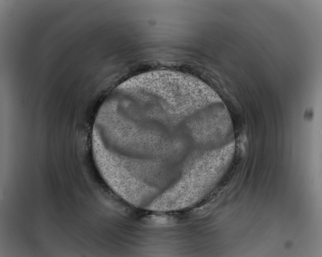 X0000100370464200807031906