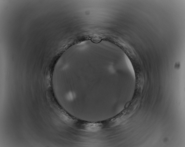 X0000100370465200807031906