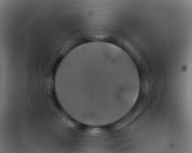 X0000100370467200807031906