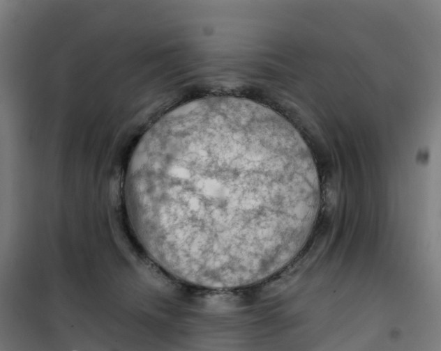 X0000100370468200807031906