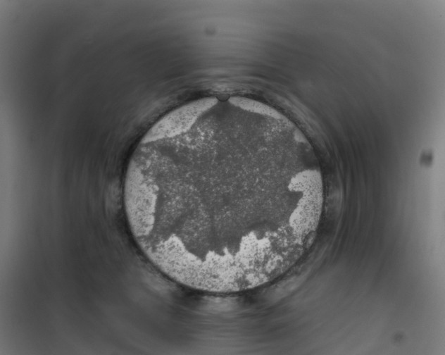 X0000100370469200807031906