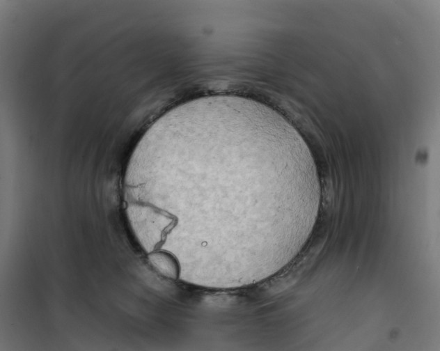 X0000100370470200807031906