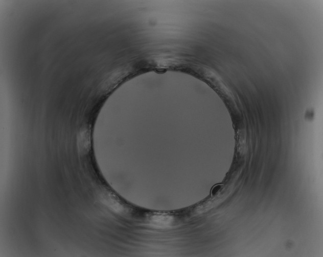 X0000100370471200807031906