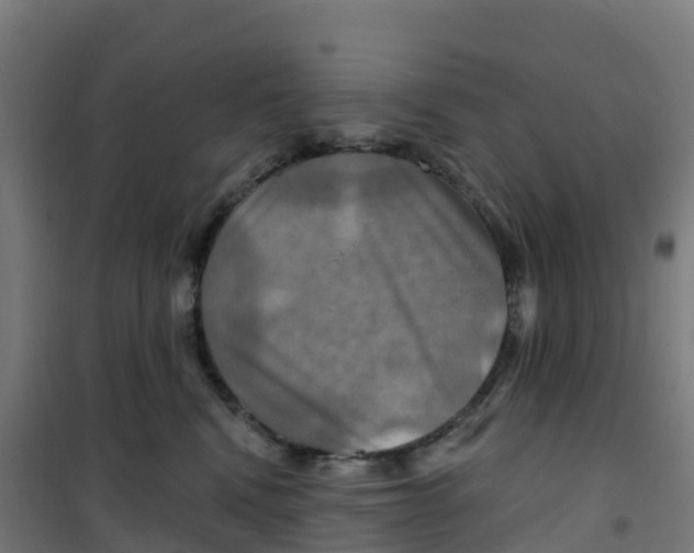 X0000100370472200807031906