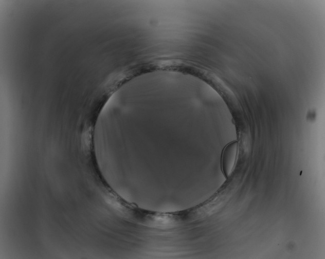 X0000100370475200807031906