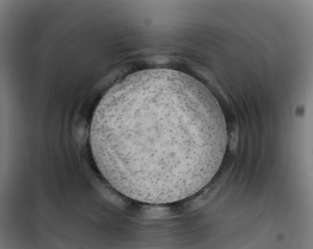 X0000100370476200807031906