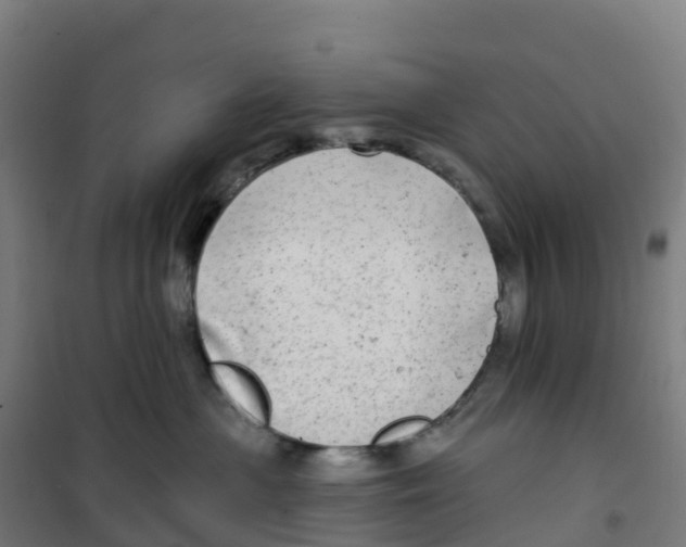 X0000100370477200807031906